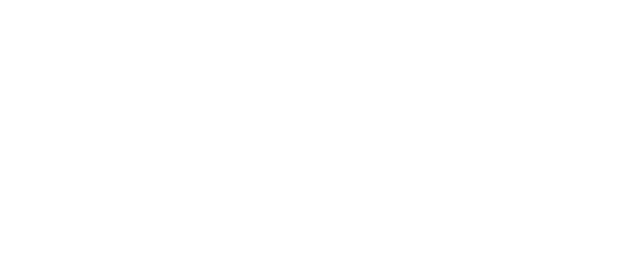 Storyfi